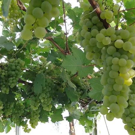 D'hotes Vue Sur La Campagne Marquise